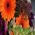 Women's Autumnal Afternoon with Ariehetta