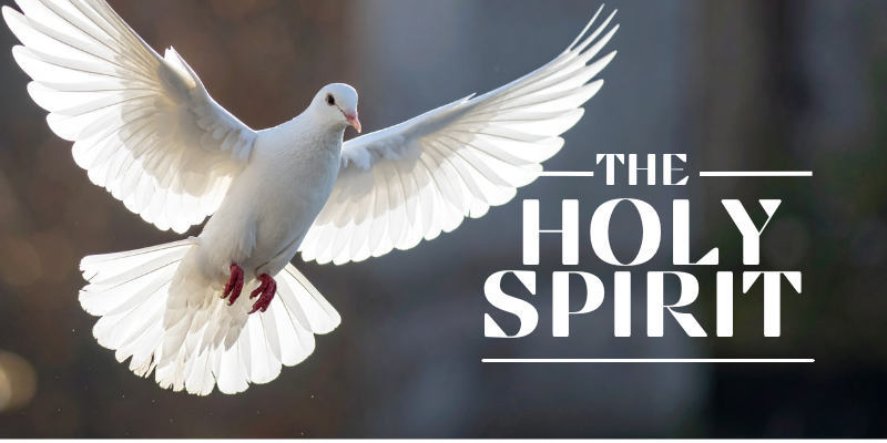 The Spirit in our Christian Life